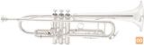 Trobenta King Bb 2055T Silver Flair