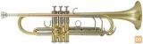Trobenta Roy Benson Bb Tr-402 Pro
