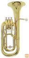 Bariton Bb Bh-301 Roy Benson Pro