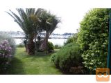Istra 1-sobno 40.8 m2