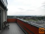 Bežigrad 4 in večsobno 182 m2