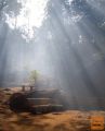 Letalske karte Phuket za 710 EUR