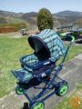 voziček znamke peg perego 2 v 1