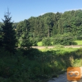 Slovenska Bistrica Križni Vrh 1350 m2