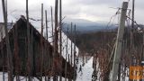 Žužemberk Boršt pri Dvoru Zidanica 30 m2