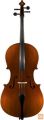Violončelo 1/2 Fenice Studente komplet