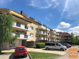 Grosuplje Brezje pri Grosupljem 4 in večsobno 203,9 m2
