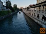 delo voznika Ljubljana Beograd kombi