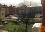 podarim drva - drevo