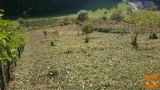 Šmartno pri Litiji Primskovo Zagrič Zazidljiva 980 m2