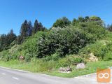 Dobrova Polhov Gradec Dobrova Zazidljiva 2.463,00 m2